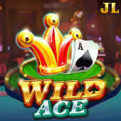Wild Ace at Aron Play
